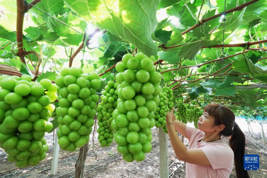 澳门24小时游戏网址
